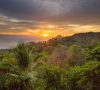 Santa Teresa Jungle