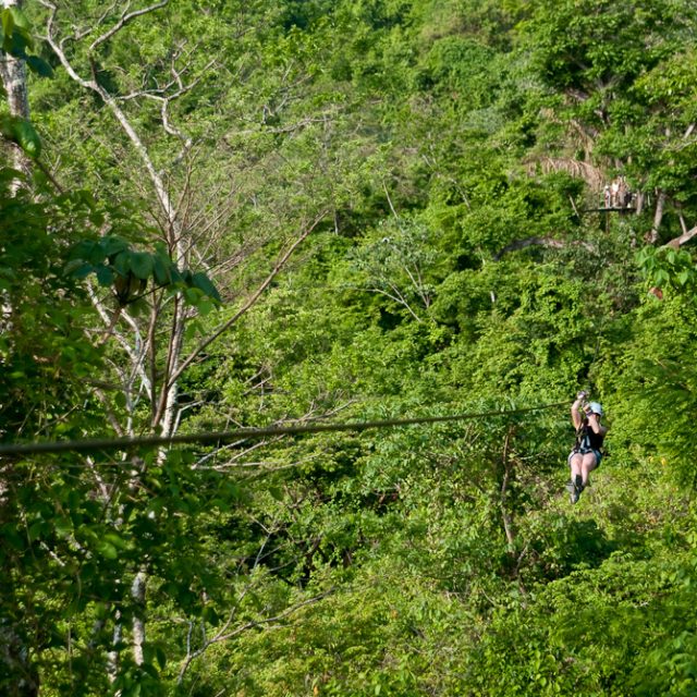 JUNGLE CANOPY TOUR