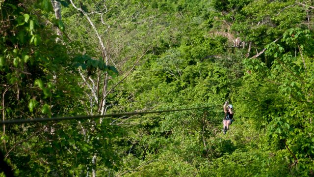 JUNGLE CANOPY TOUR