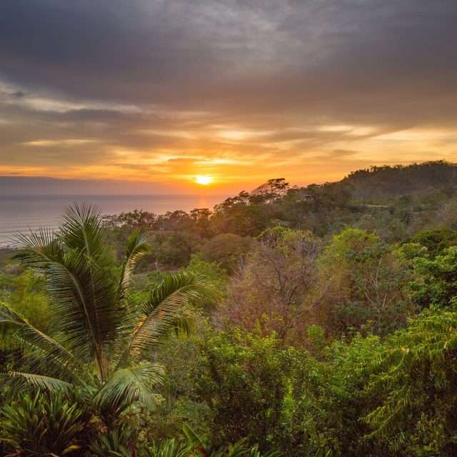 Santa Teresa Jungle